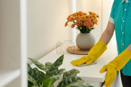 Photo for Cropped image of housekeeping professional wearing silicone gloves when wiping dust in house of customer - Royalty Free Image