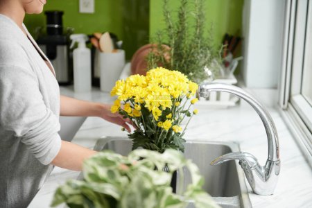 Téléchargez les photos : Femme changeant l'eau dans un vase avec des fleurs à fleurs jaunes dans un évier de cuisine - en image libre de droit
