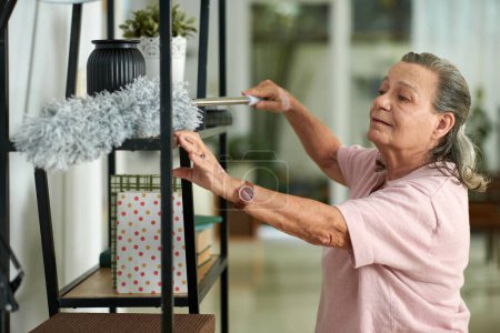 Téléchargez les photos : Femme âgée souriante essuyant la poussière des étagères dans le salon - en image libre de droit