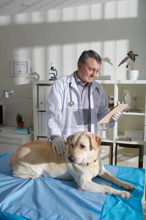 Foto de Veterinario experimentado leyendo historia médica de perro labrador retriever acostado en la mesa médica - Imagen libre de derechos