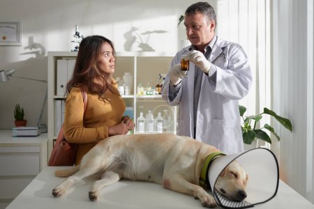 Foto de Veterinario explicando propietario cómo ofter ella debe dar pastillas a perro - Imagen libre de derechos