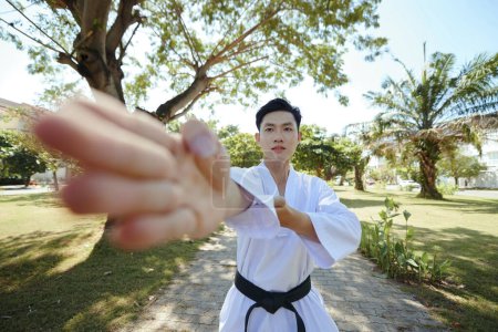 Téléchargez les photos : Athlète de taekwondo pratiquant la grève des palmiers dans le parc - en image libre de droit