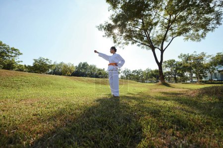 Photo for Sportswoman standing on meadow and stretching out arm when practicing taekwondo stance - Royalty Free Image