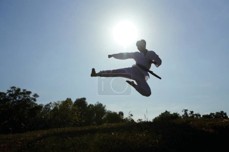 Téléchargez les photos : Silhouette de l'athlète de taekwondo faisant coup de pied de saut dans les rayons sur le soleil couchant - en image libre de droit