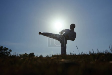 Foto de Silueta de deportista taekwondo haciendo patada alta contra el sol poniente - Imagen libre de derechos