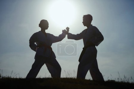 Photo for Silhouettes of taekwondo sportsmen fighting against setting sun - Royalty Free Image