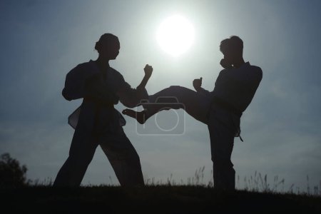 Photo for Silhouettes of taekwondo athletes fighting against blue sky - Royalty Free Image