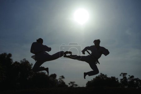 Photo for Silhouettes of taekwondo athletes doing jump kick - Royalty Free Image