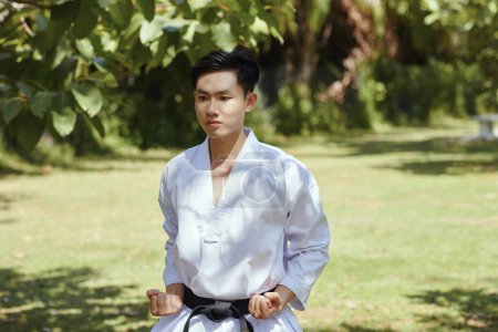 Portrait of concentrated taekwondo athlete practicing stance
