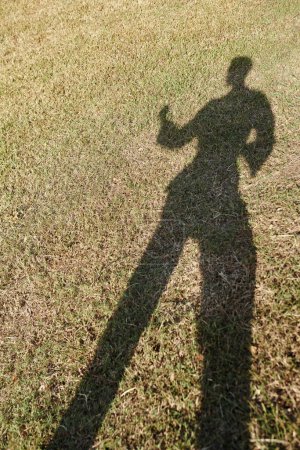 Photo for Shadow of training taekwondo athlete on green loan - Royalty Free Image
