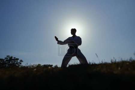 Photo for Taekwondo athlete working on his sparring stance - Royalty Free Image