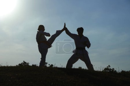 Téléchargez les photos : Silhouette de taekwondo athlète bloquant coup de pied élevé de l'adversaire - en image libre de droit