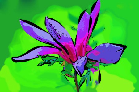 Téléchargez les photos : Bourgeon de fleur de lys rose non soufflé isolé sur un fond flou naturel - en image libre de droit