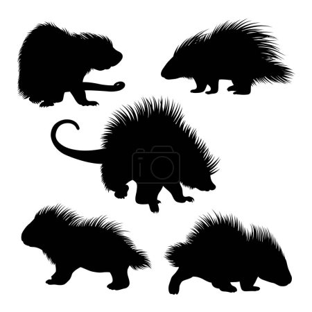 Silhouettes de mammifères porcs-épics. Bon usage pour le symbole, logo, icône, mascotte ou tout design que vous voulez.