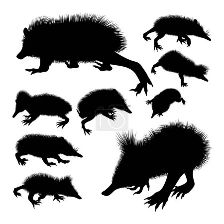 Lowland streaked tenrec animal silhouettes. Good use for symbol, logo, icon, mascot or any design you want.