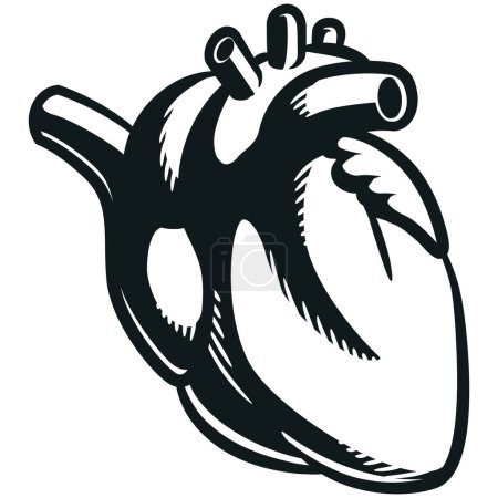 Ilustración de Silhouette Human Heart Órgano cardiovascular interno - Imagen libre de derechos