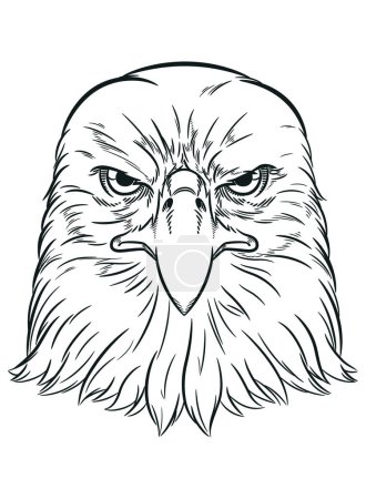 Téléchargez les photos : Croquis Aigle d'Amérique Predator Bird Face - en image libre de droit