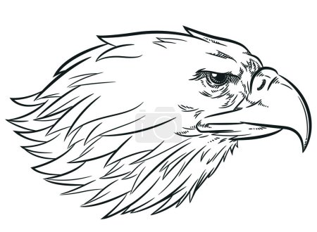 Téléchargez les photos : Croquis Eagle Head Side Voir le profil - en image libre de droit