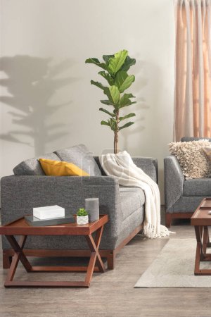 Téléchargez les photos : Salon intérieur moderne du milieu du siècle avec un canapé gris, une table basse, une plante en pot, un mur vert clair et une fenêtre avec un rideau beige en arrière-plan. - en image libre de droit