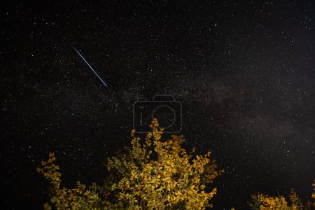 Une étoile filante dans le ciel étoilé nocturne et un arbre au premier plan. Photo de haute qualité