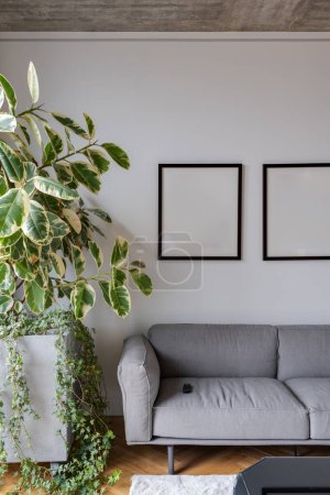 Foto de Un diseño interior con una sala de estar con un sofá, planta de interior y dos marcos rectángulos en la pared. El suelo es elegante y moderno - Imagen libre de derechos
