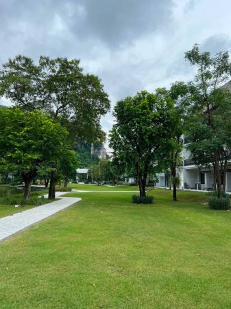Téléchargez les photos : Pelouse verte et arbres dans un parc public à Bangkok, Thaïlande. - en image libre de droit