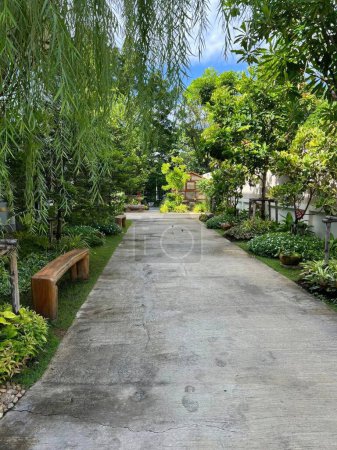 Téléchargez les photos : Promenade dans le jardin avec des plantes vertes et des arbres, Thaïlande. - en image libre de droit