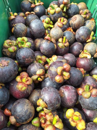 Téléchargez les photos : Mangoustan dans le panier Fruits vendus sur le marché. - en image libre de droit
