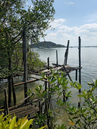 Téléchargez les photos : Forêt de mangroves et pont en bois à Koh Samui, Thaïlande - en image libre de droit