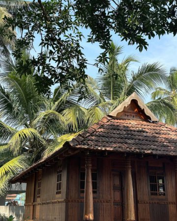 Téléchargez les photos : Ancienne maison en bois avec un toit de palmiers sur le fond du ciel bleu - en image libre de droit