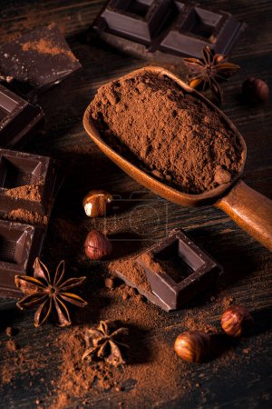 Téléchargez les photos : Au premier plan, dans un environnement sombre, cacao en poudre, morceaux de chocolat noir et noisettes - en image libre de droit