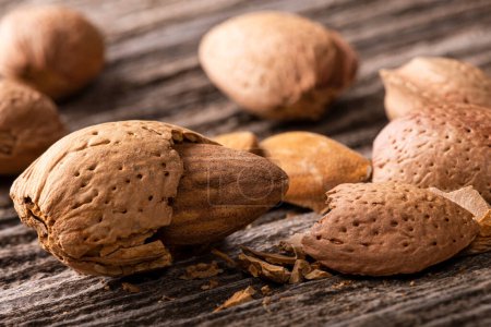 Téléchargez les photos : Macro photography, with selective focus, of a half shelled almond on a rough wood background - en image libre de droit