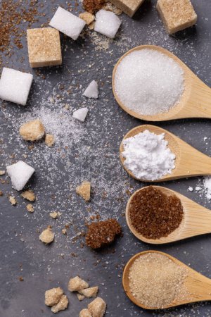 Photo for On a gray background, different types of refined and lump sugar, white, raw, flavored and powdered - Royalty Free Image