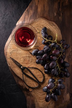 Foto de Sobre una tabla de madera áspera, un ramo de uvas negras y un par de tijeras y una copa de vino tinto - Imagen libre de derechos