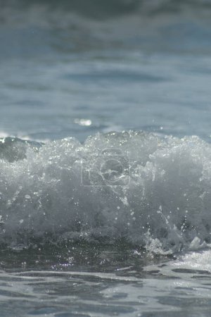 Photo for White foam in a sea wave arriving a sunny day - Royalty Free Image