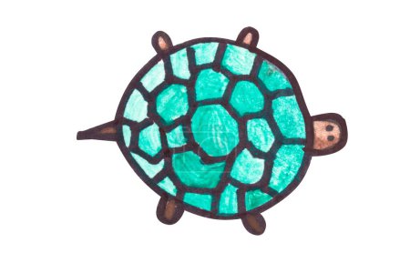 Foto de Pintura de tortuga aislada sobre fondo blanco. - Imagen libre de derechos
