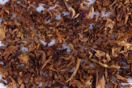 Photo for Tobacco leaves cigarettes texture cigar brown. - Royalty Free Image