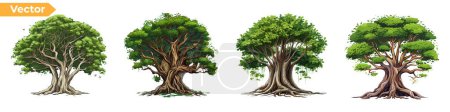 Téléchargez les photos : Ensemble d'illustrations vectorielles d'arbres. Racines du jeu de vecteurs d'arbres banyans. palétuvier. - en image libre de droit