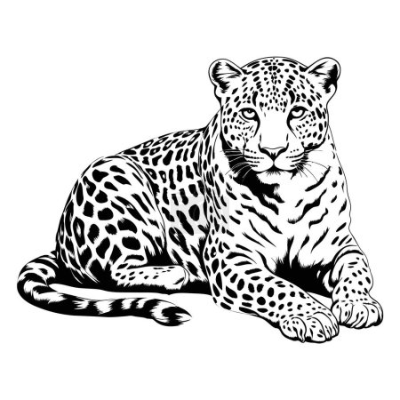 Téléchargez les illustrations : Croquis vectoriel noir et blanc de Jaguar couché. illustration générée par ai. - en licence libre de droit