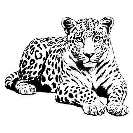 Schwarz-weiße Vektorskizze eines liegenden Jaguar. ai generierte Illustration.