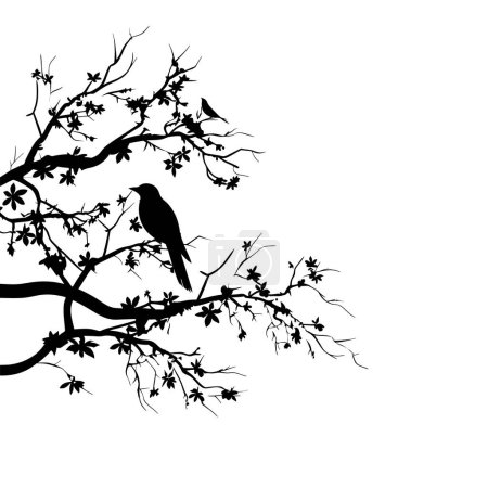 Illustration for Birds silhouettes on branch, Vector. Birds couple silhouette on branch isolated on white background, illustration. Wall Decals, Wall Art Decoration. Wall artwork. - Royalty Free Image