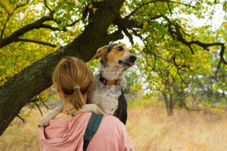Téléchargez les photos : Portrait de chien femelle métisse montrant de la joie assis sur des mains de maître près de la branche d'abricot - en image libre de droit