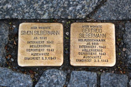 Foto de Dresde, Alemania - 27 de junio de 2023: Stolpersteine (Piedras de Tropiezo), un cubo de hormigón de 10 cm con una placa de latón inscrita con el nombre y las fechas de vida de las víctimas del exterminio o persecución nazi. - Imagen libre de derechos