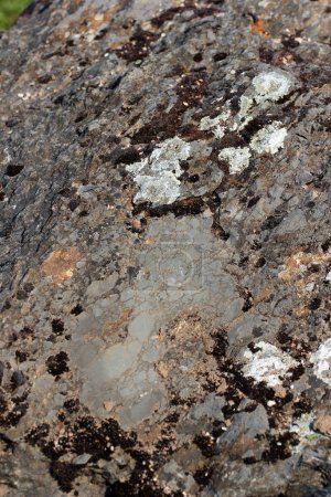 Foto de Roca caliza de una cantera de piedra en la región de Vogtland de Sajonia, Alemania - Imagen libre de derechos