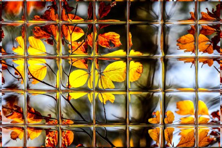 Téléchargez les photos : Résumé flou déconcentré fond bokeh de feuilles d'automne colorées dans la forêt à travers les vitres de fenêtre - en image libre de droit