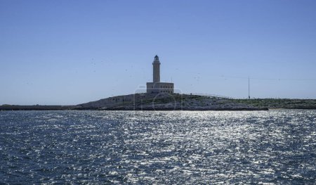 Téléchargez les photos : Vue sur le phare de Vieste situé sur une île de la péninsule du Gargano en Italie - en image libre de droit