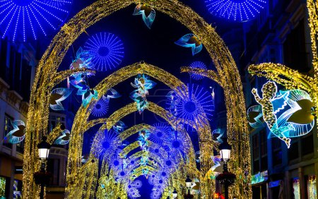 Christmas decorations 2019 on Calle Marques de Larios street in the centre of Malaga city, Andalusia, Spain.