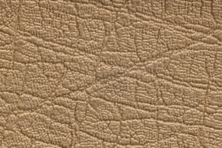 Photo for Gonden artificial or synthetic leather background with neat texture and copy space, colorful fabric sample with leather-like finish aimed for upholstery, fashion, sewing or footwear projects - Royalty Free Image