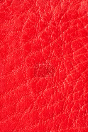 Photo for Red artificial or synthetic leather background with neat texture and copy space, colorful fabric sample with leather-like finish aimed for upholstery, fashion, sewing or footwear projects - Royalty Free Image