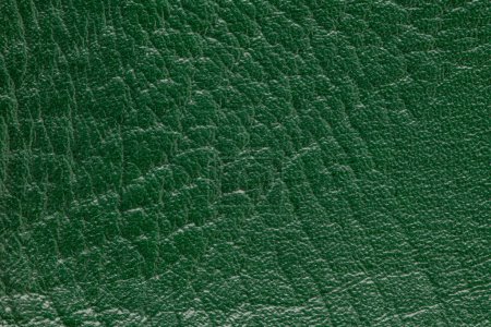 Photo for Green artificial or synthetic leather background with neat texture and copy space, colorful fabric sample with leather-like finish aimed for upholstery, fashion, sewing or footwear projects - Royalty Free Image